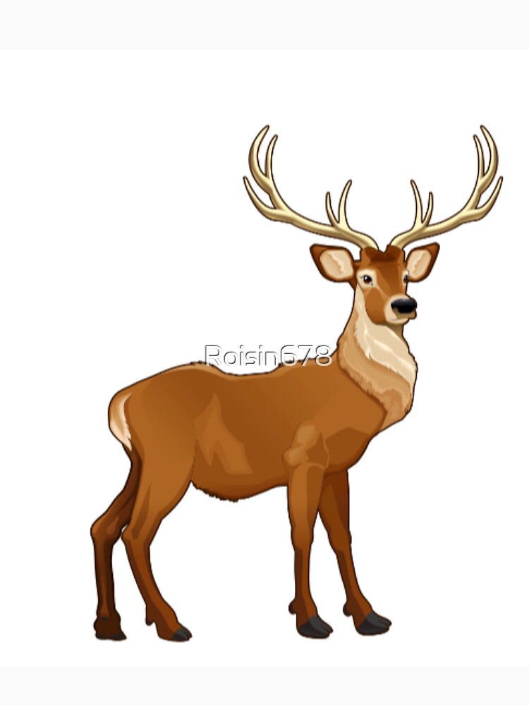 Deer by Roisin678