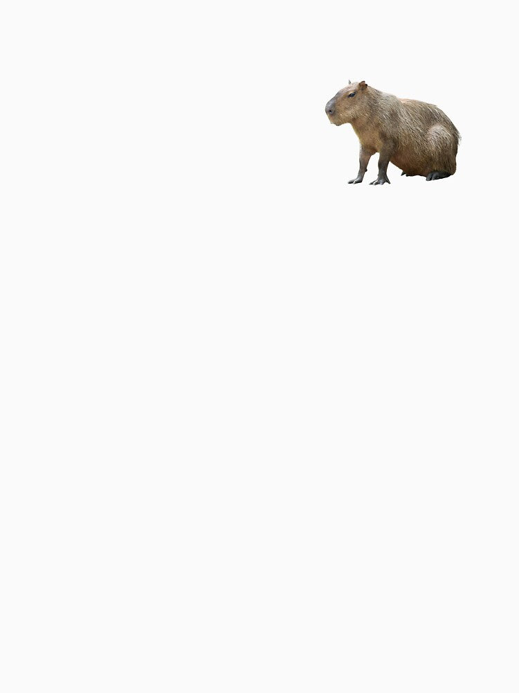 Capybara Sitting by SimpleUniverse