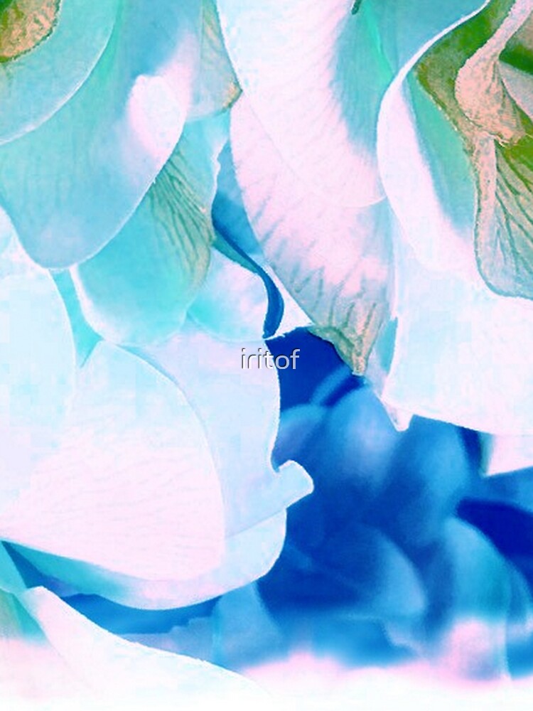 Roses in turquoise & White by Iritof by iritof