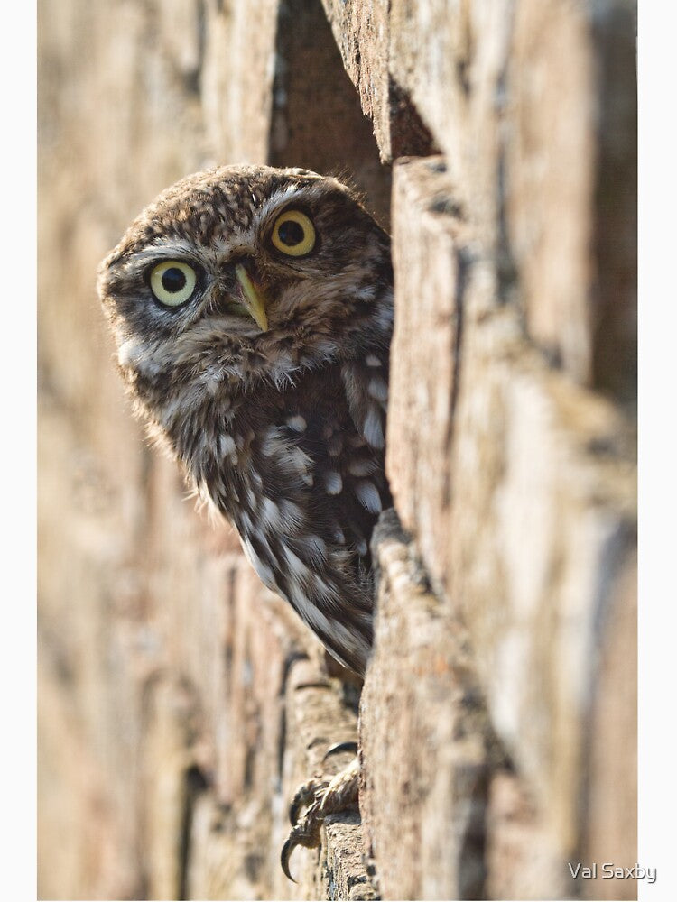 What you looking at by Val Saxby Unisex