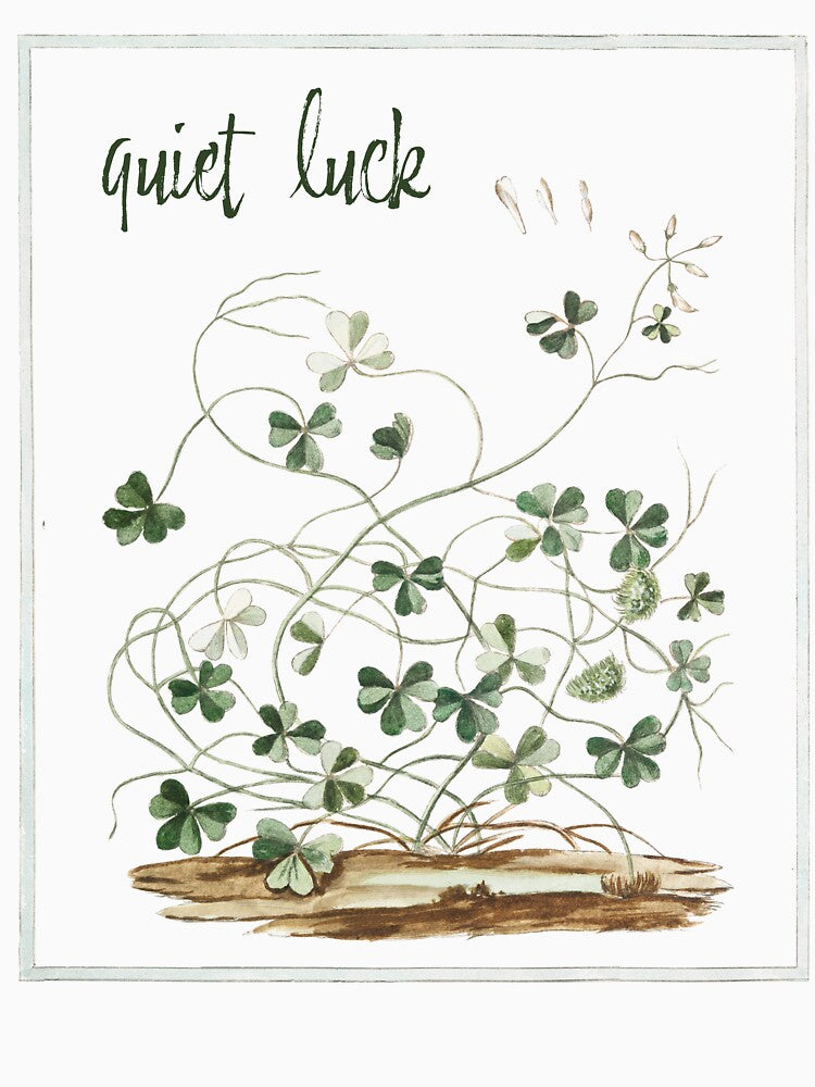 Quiet Luck Clover Botanical Illustration by AggyCreatif