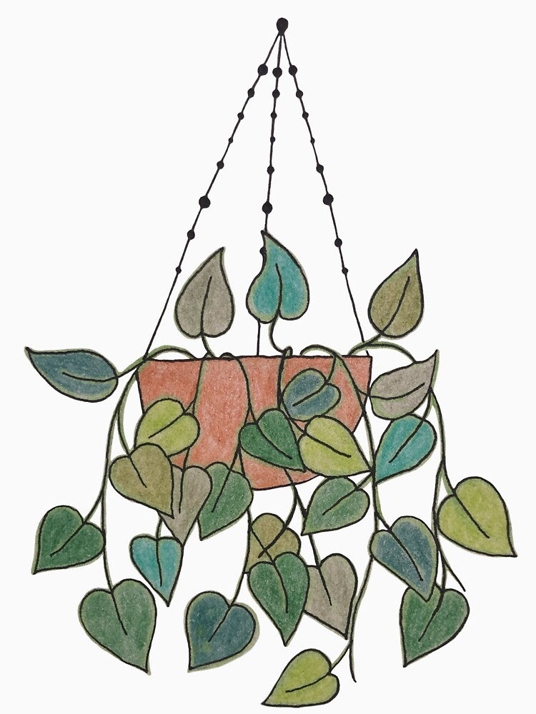 Pothos hanging basket by Phoebew03