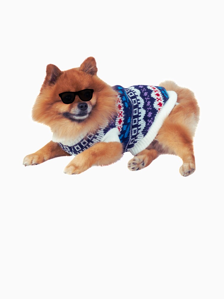 Knitting Dog by lookperfect
