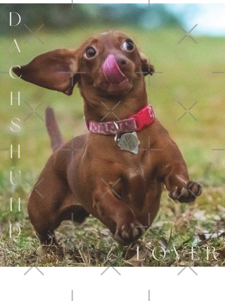 Dachshund Lover by Mrswobblechin