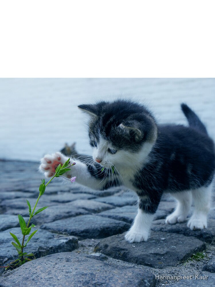 cute by Harmanpreet  Kaur