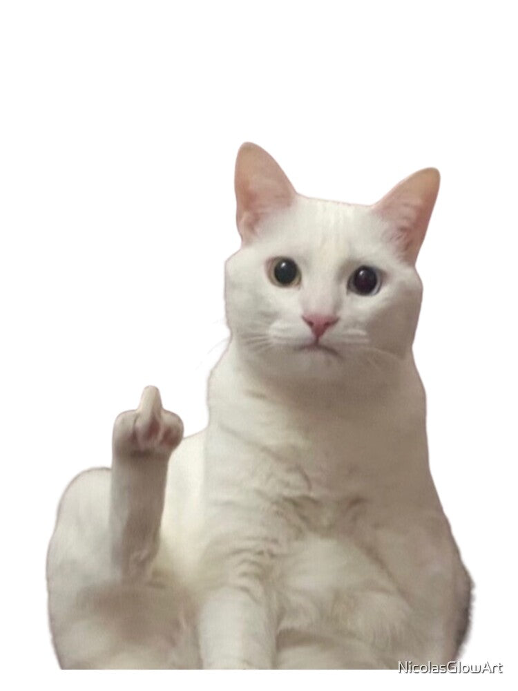 Middle Finger Cat by NicolasGlowArt