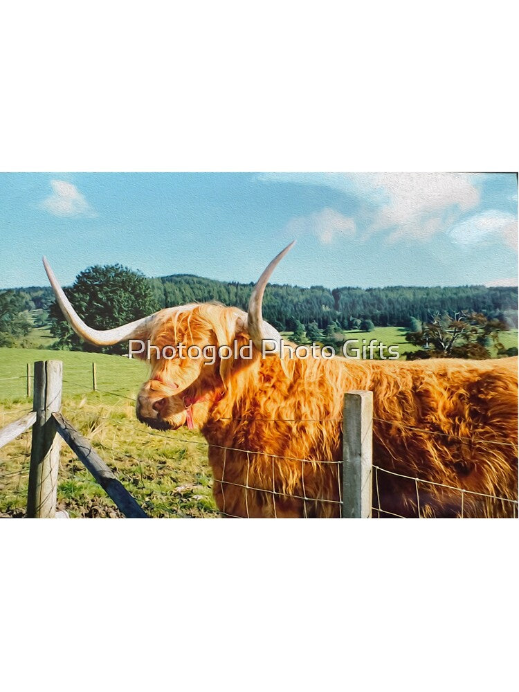 Highland cow , Scotland by Photogold Photo Gifts