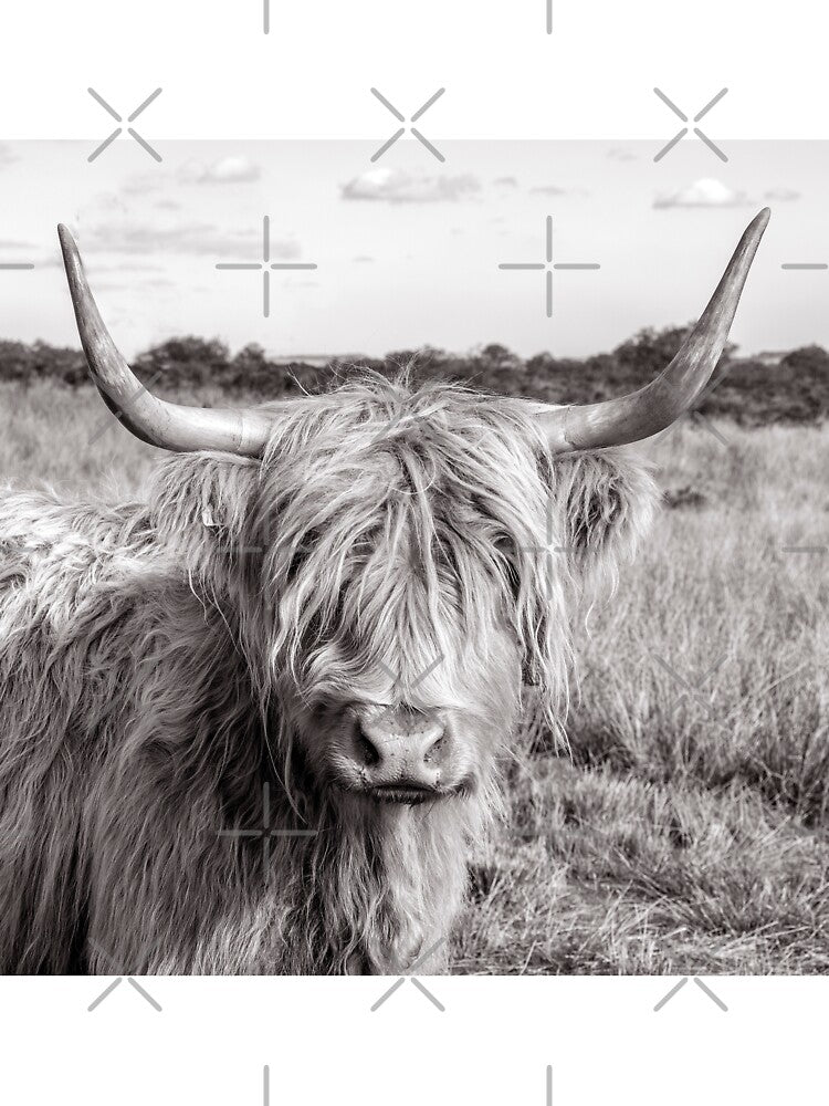 Highland Cow by angieblue-25
