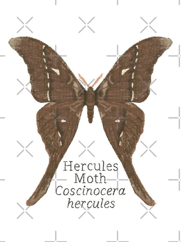 Hercules Moth by WyrdandWoven Unisex