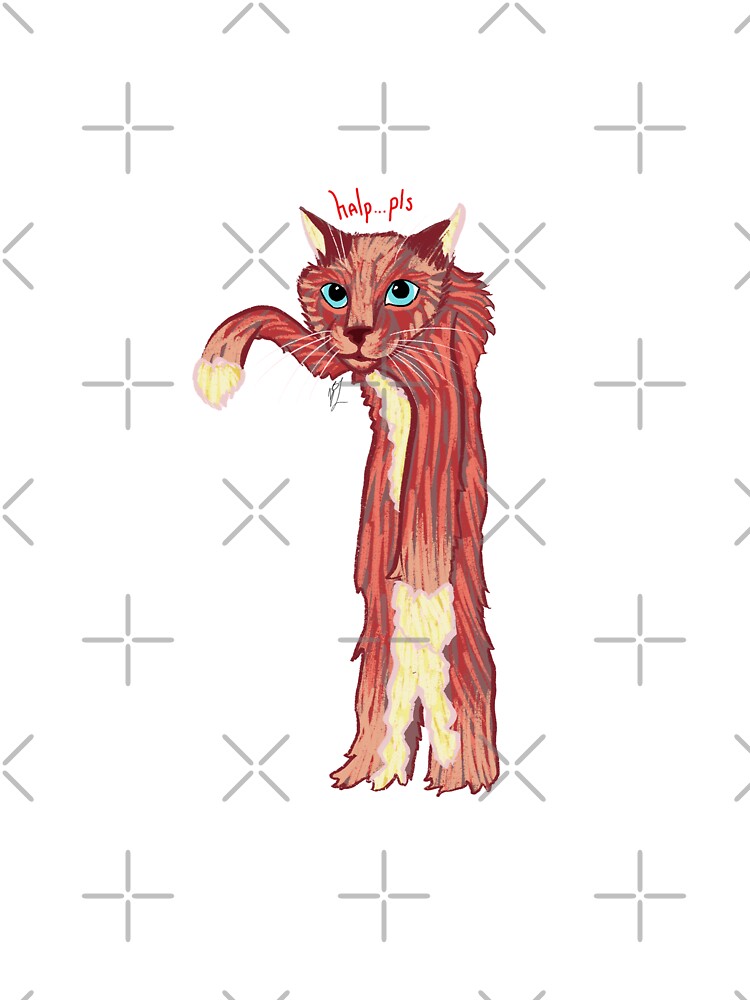 Wet Cat "Halp...Pls" by gberglundludwig