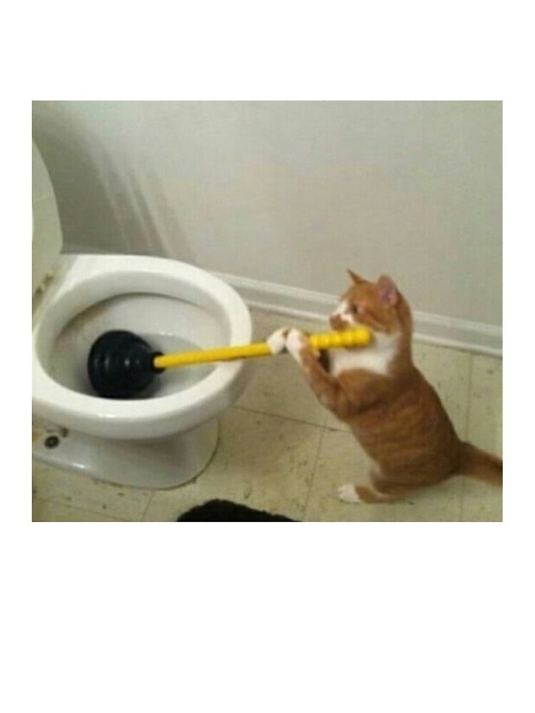 Plunger Cat by PapaKnox