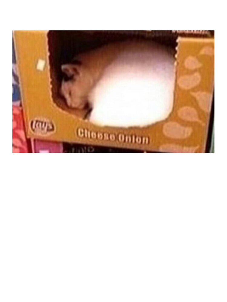 Cheese Onion Cat by PapaKnox