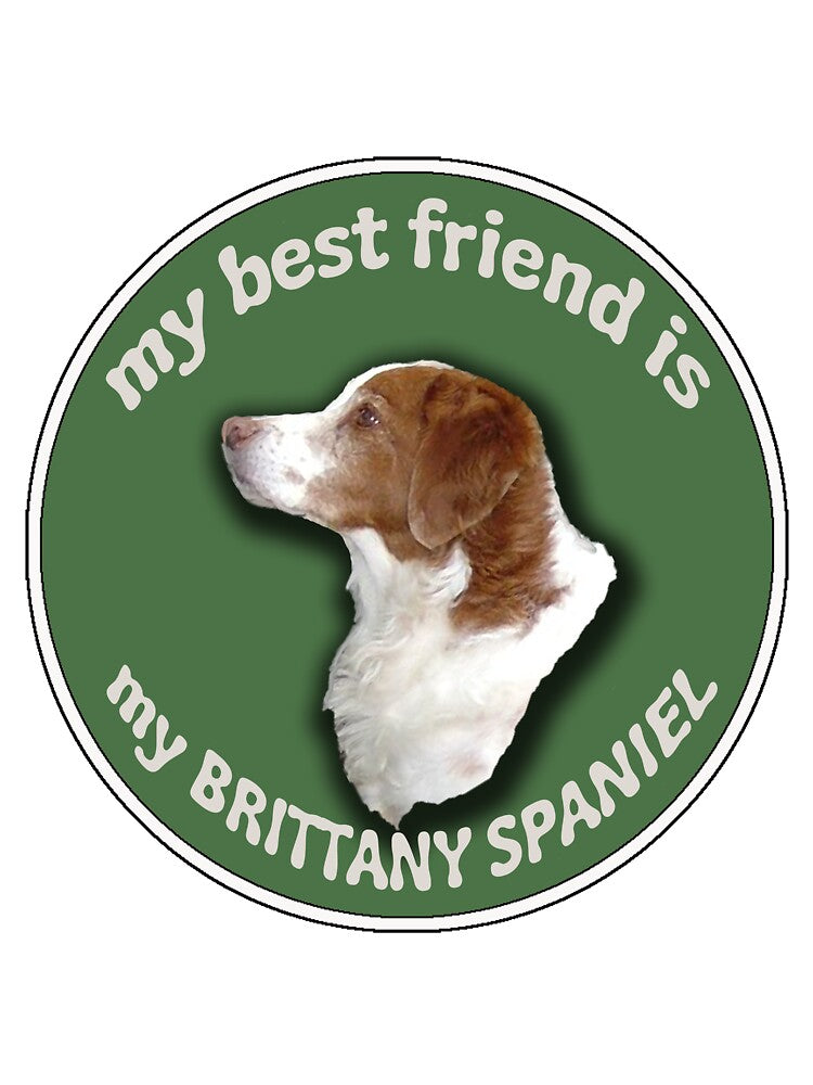 My Best Friend Is My Brittany Spaniel by IowaArtist