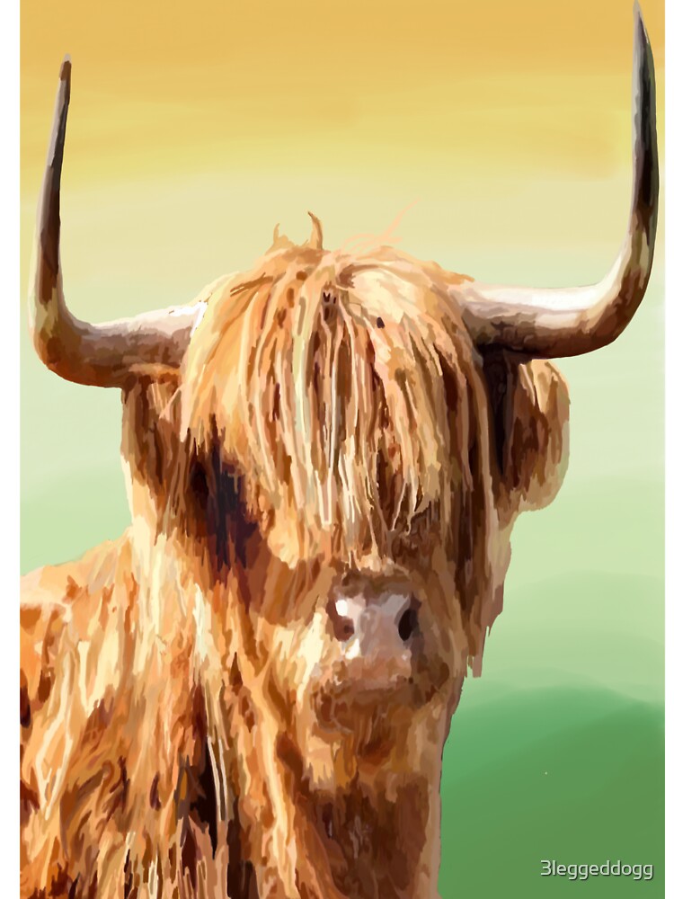 Highland cow by 3leggeddogg
