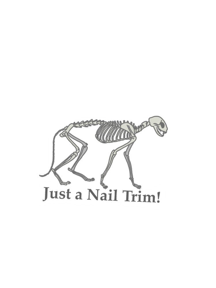 Vet Tech Sticker by katiek-franklin