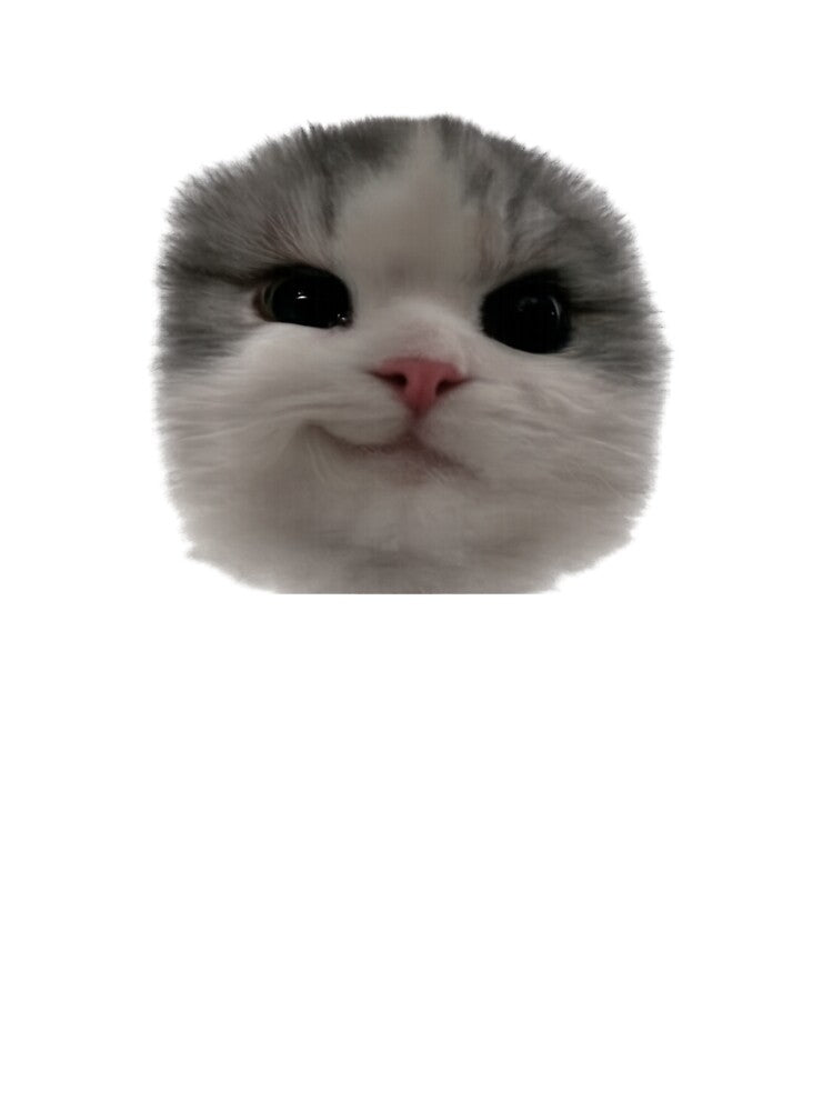 Cool cute cat from meme by t-patterns