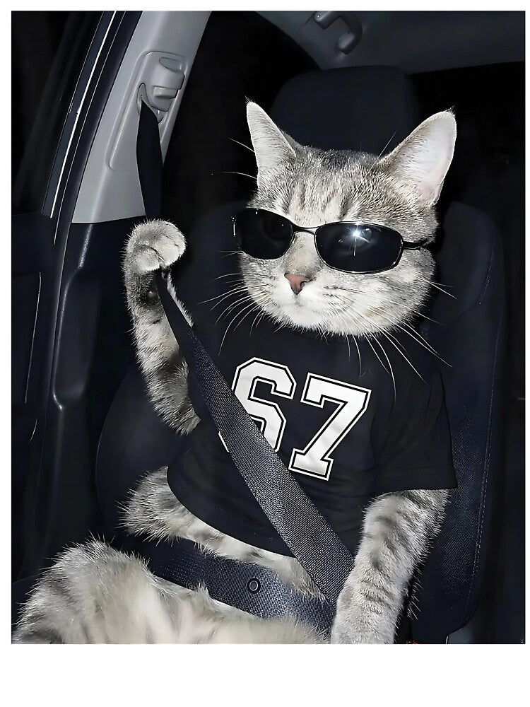 Cool Cat Wearing Sunglasses Meme by DAVIESLLC