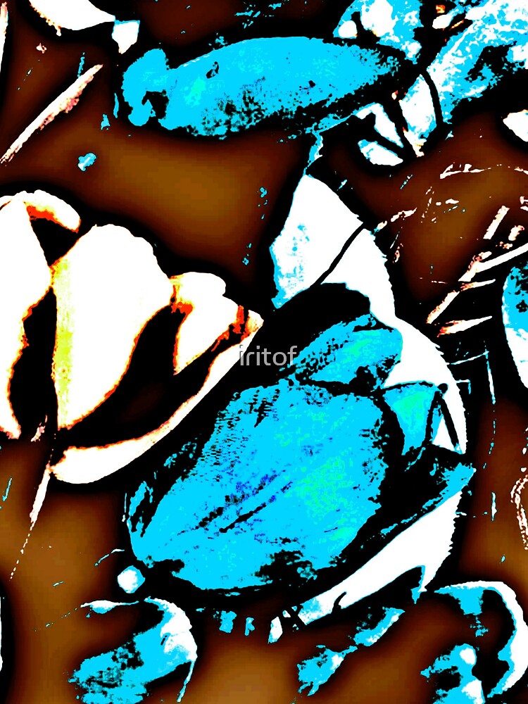 Brown White Blue By Iritof by iritof