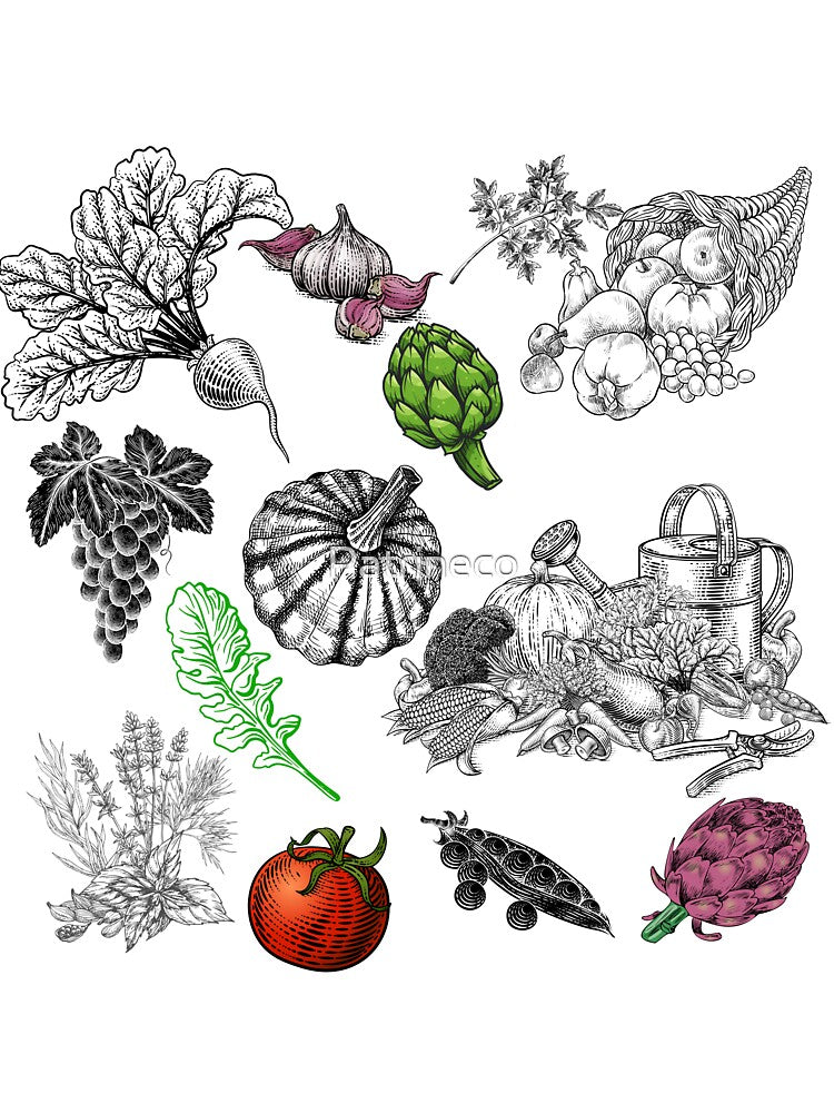 vintage veggies by Patrineco Limited