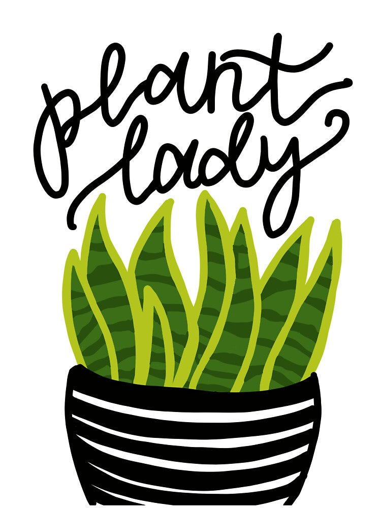 Plant Lady Snake Plant by ashleyparhamart