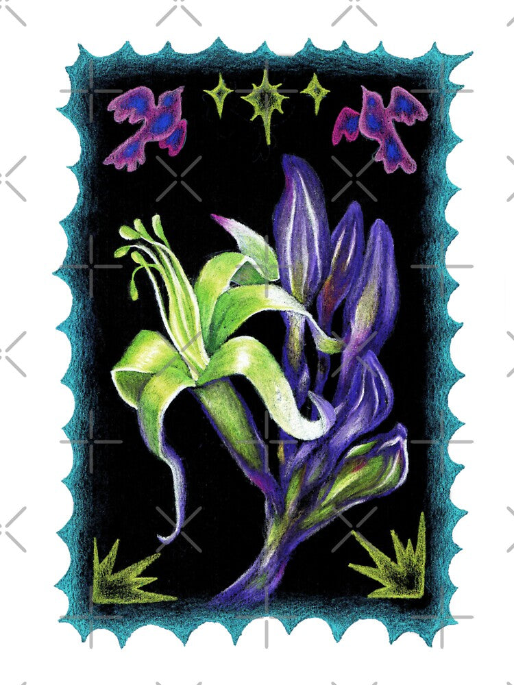 Black Kangaroo Paw by qubit