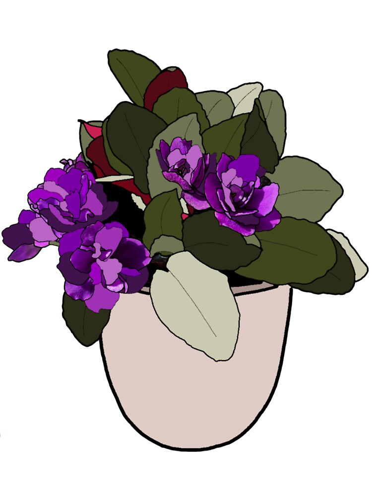 Simplistic African violets by Phoebew03