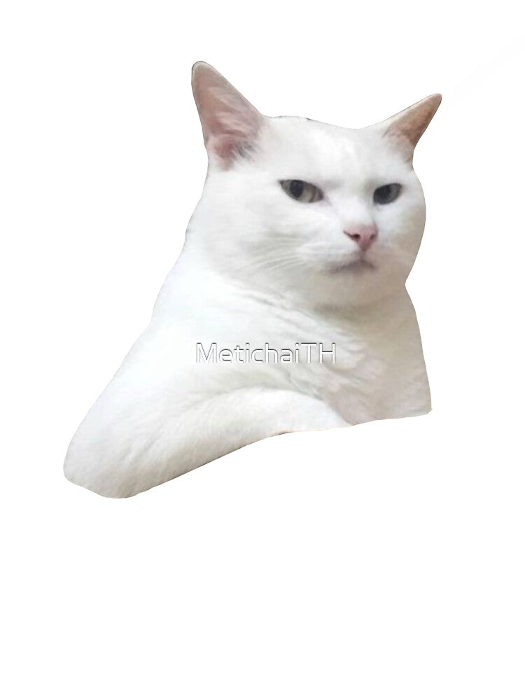 MEME Side-Eye Cat - Suspicious & Judgy Look (Collection7-11) by MetichaiTH