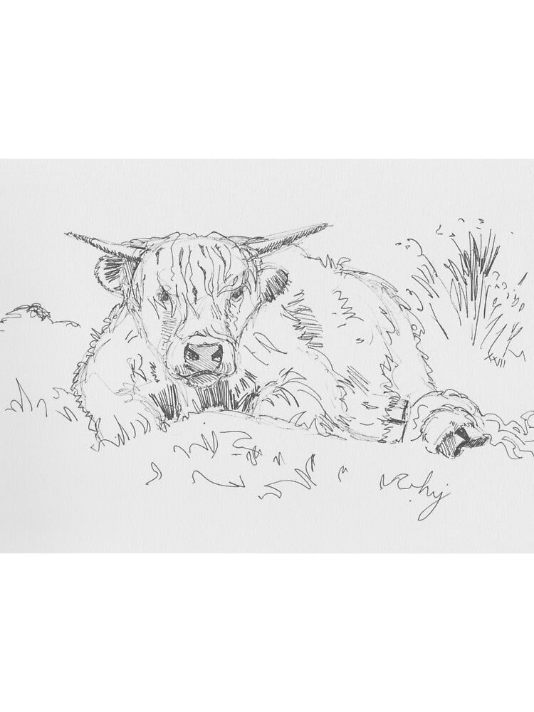 Highland Cow Laying Down Drawing by MikeJory