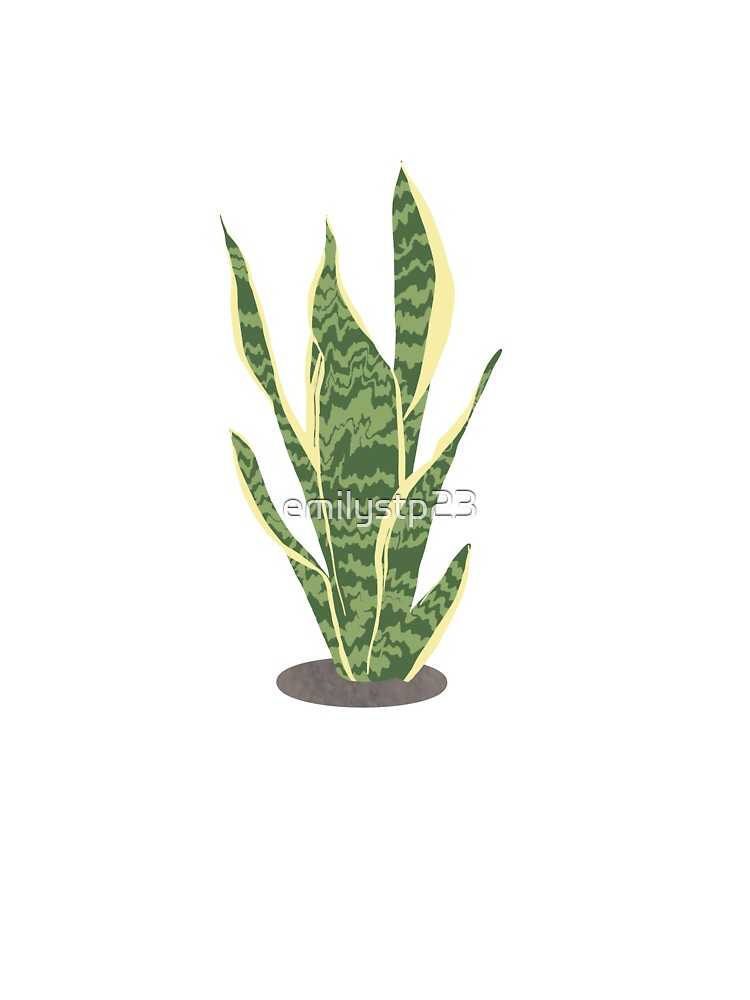 Snake Plant Illustration by emilystp23