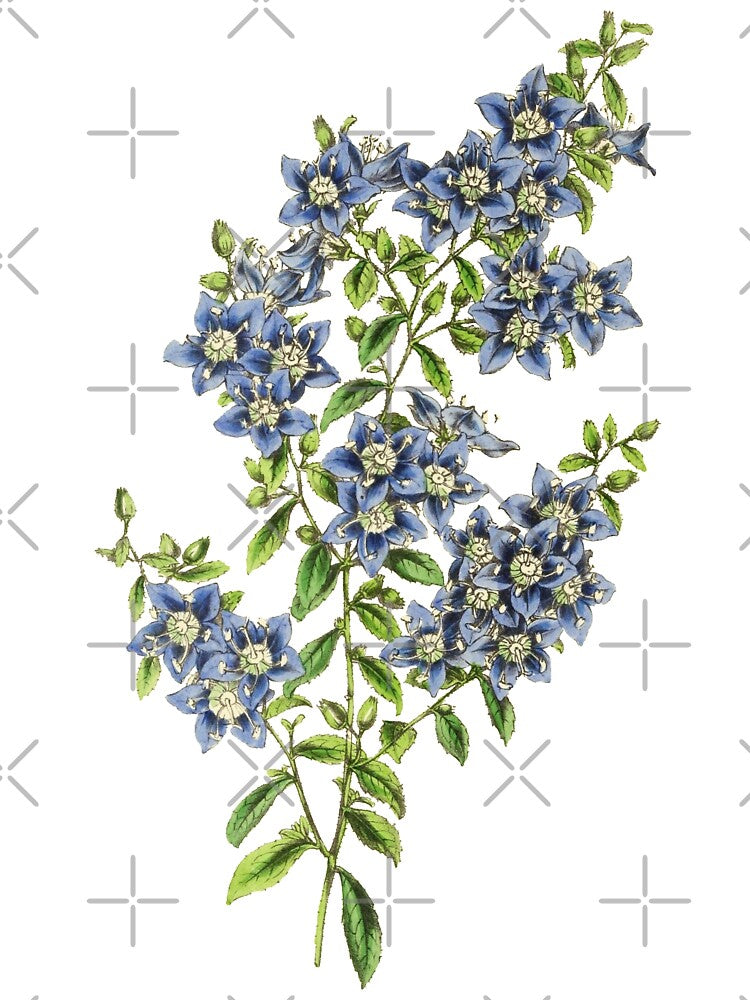 Blue Wildflowers Botanical Print by Veriepear