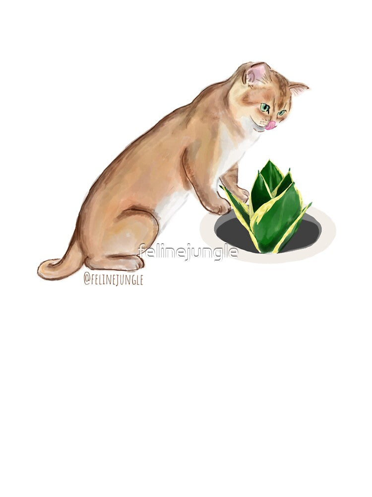 Sanseviera British Cat by felinejungle