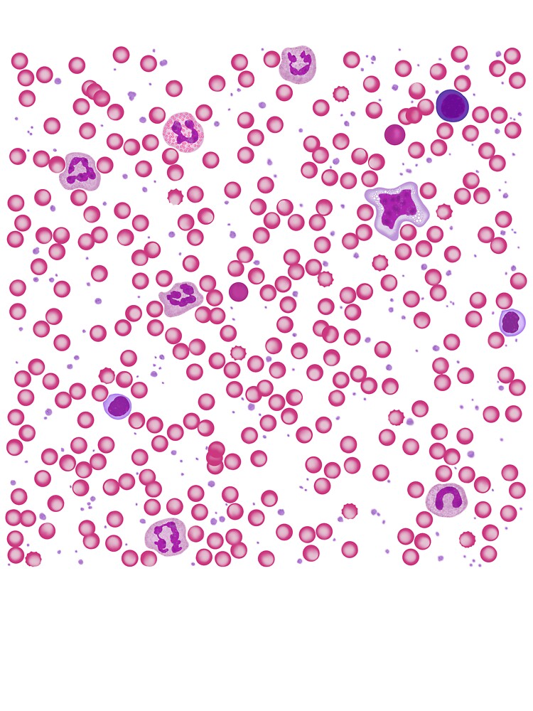 Canine Hematology by MadCurios