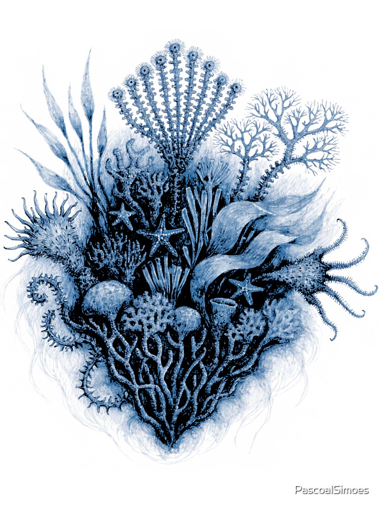 Heart of the Ocean - Vintage Marine illustration by PascoalSimoes