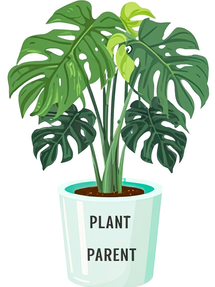 Plant parent of Monstera plant (Monstera Deliciosa) editon by KoteleleDelulu