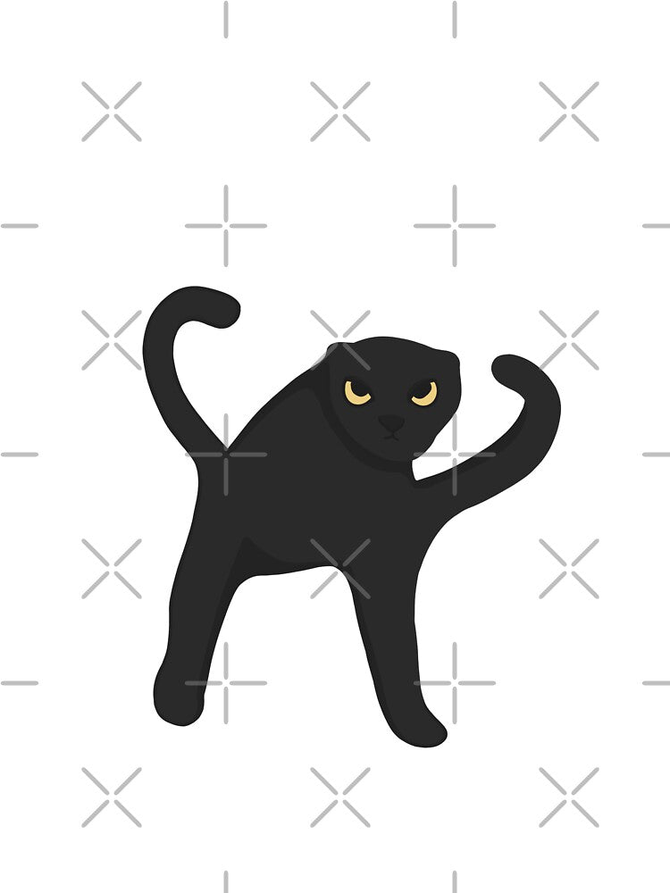 Weird angry black cat meme, funny cat viral meme by Prime_Store