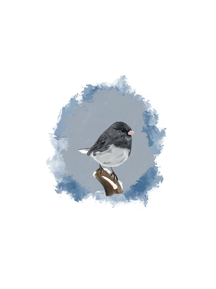 Dark Eyed Junco by DanBoot