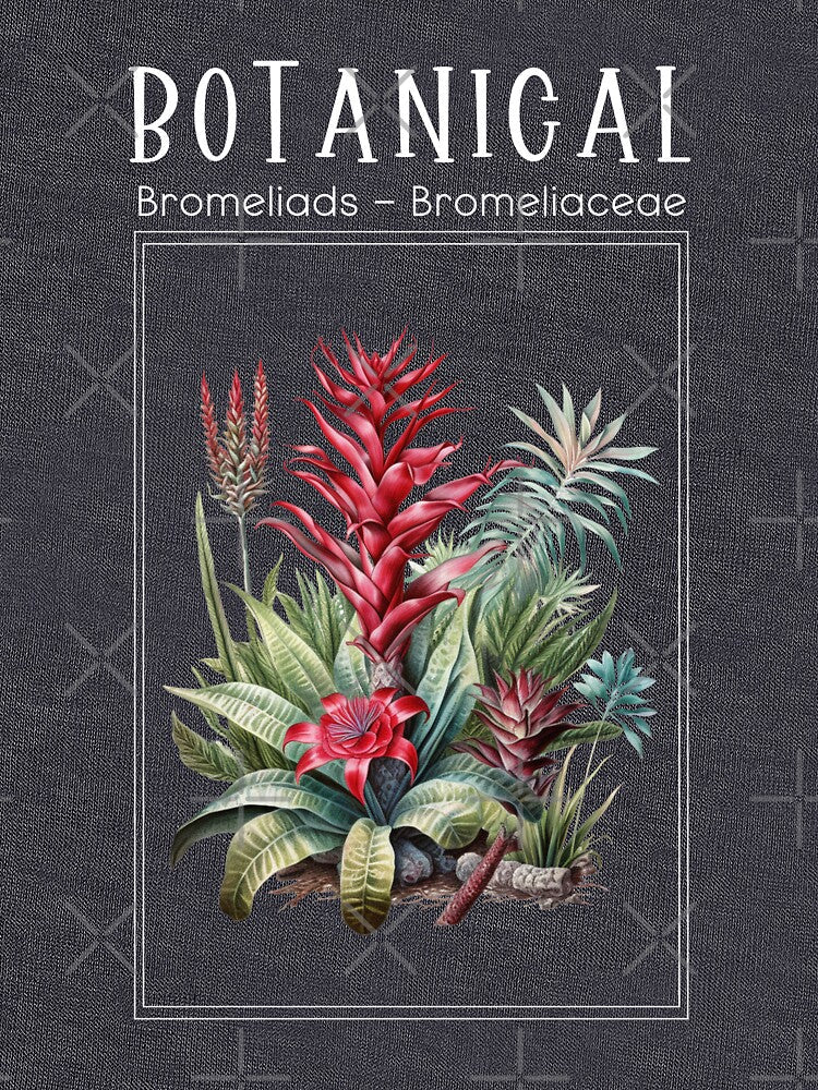 Bromeliads - Bromeliaceae - Botanical Collection by StudioRedKoala Unisex