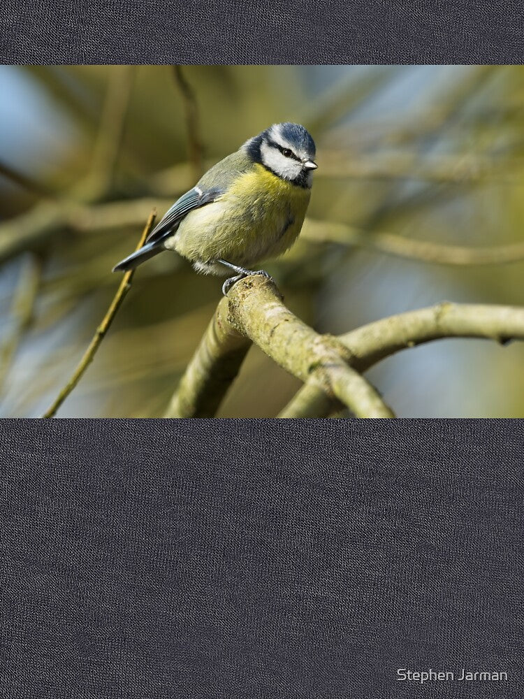 Blue tit standing on branch by Stephen Jarman