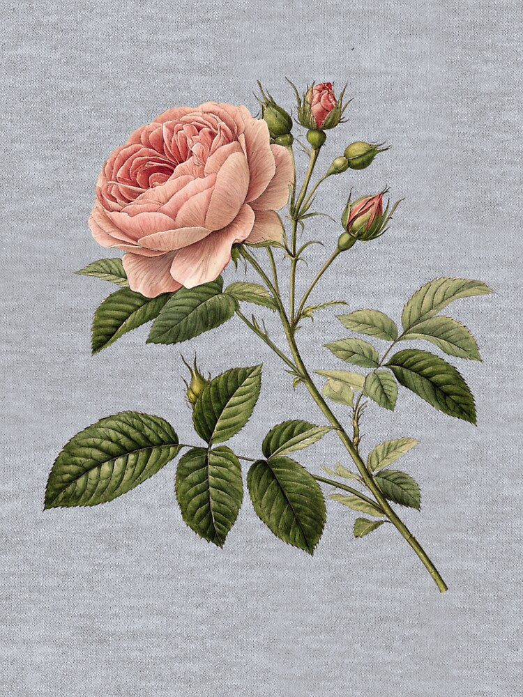 old botanical drawings by Stickers  Designer