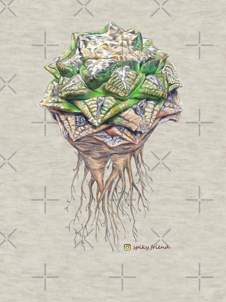 Minimal Ariocarpus fissuratus by spiky-friend
