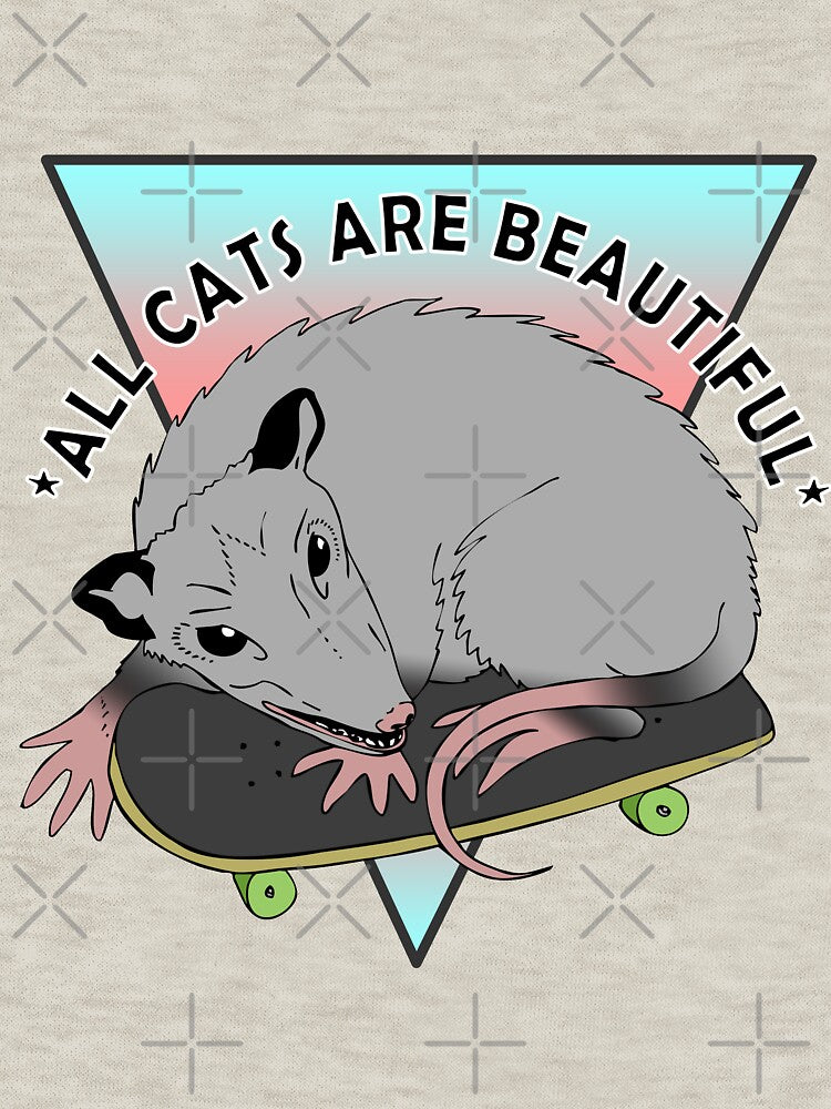 all cats are beautiful | trans flag skateboarding opossum by craftordiy.art