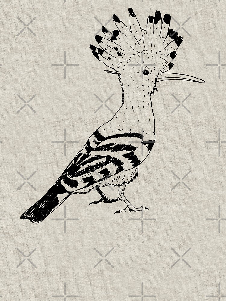 Hoopoe bird by DerSenat