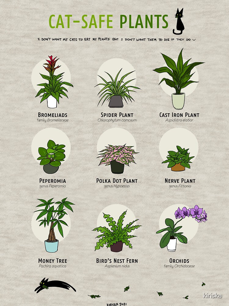 Cat-Safe Plants by KIRISKA