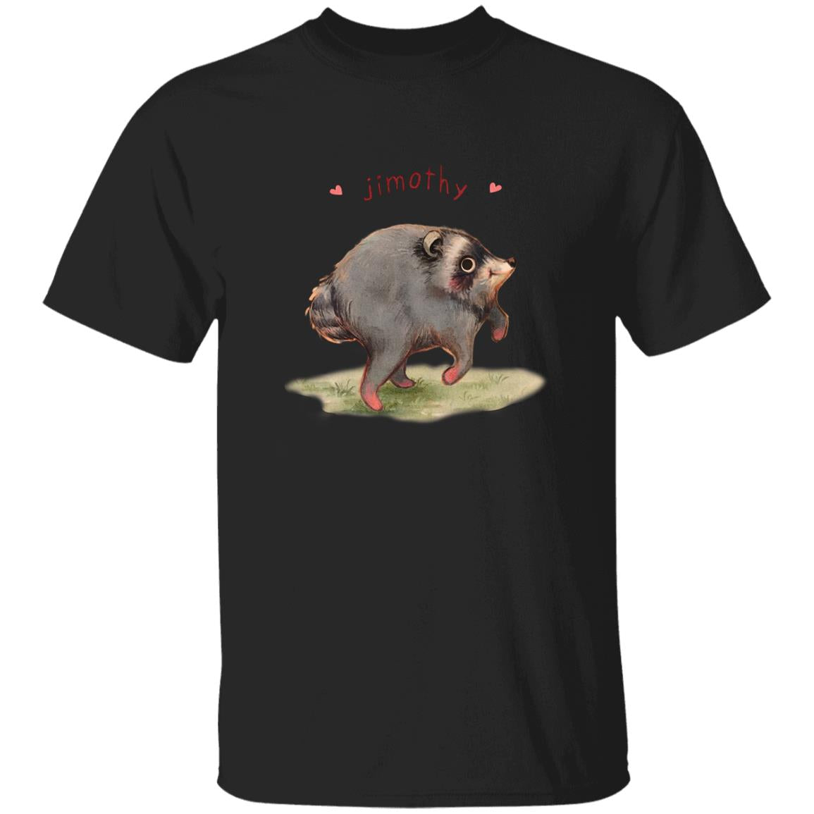 Raccoon Jimothy Seattle Shirt