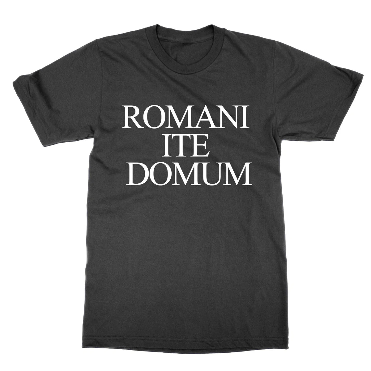 Romani Ite Domum funny Latin Life of Brian tee present gift Unisex