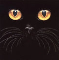 Big Yellow Eyes Cat Tshirt Sizes/Colors Unisex