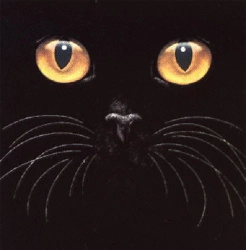 Big Yellow Eyes Cat Tshirt Sizes/Colors Unisex