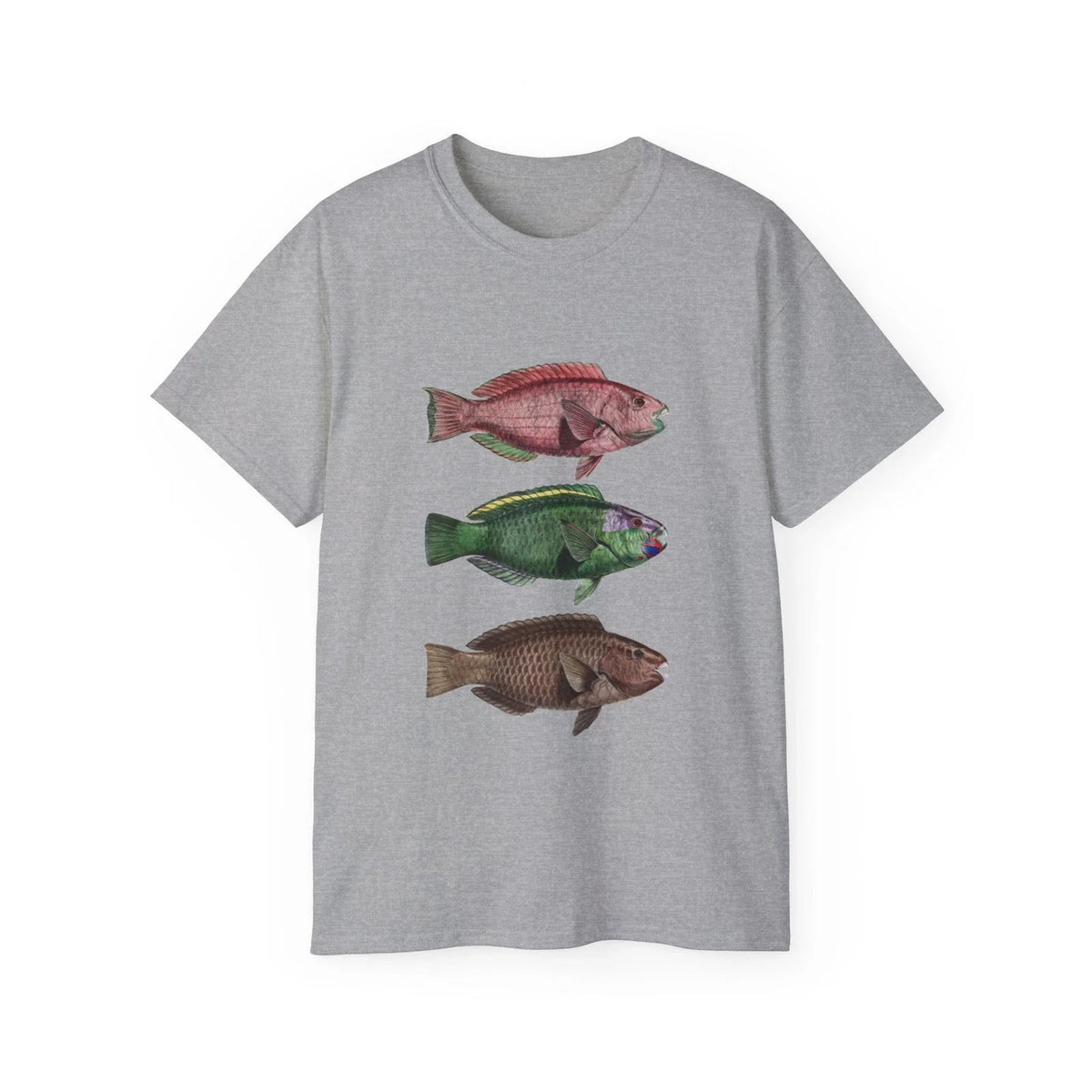Fish Parrot Fish Lithograph Educational | Custom Graphic Unisex
