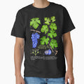 Grape Botanical Plate by LucasKias