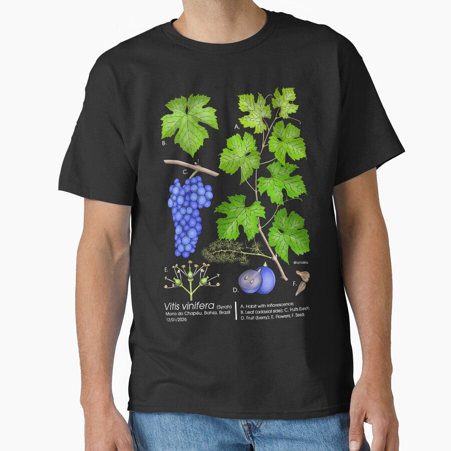 Grape Botanical Plate by LucasKias